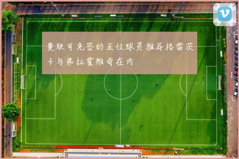 曼联可免签的五位球员推荐格雷茨卡与弗拉霍维奇在内