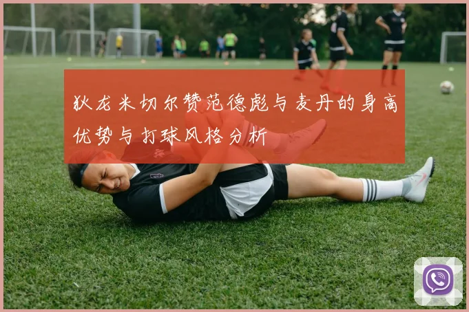 狄龙米切尔赞范德彪与麦丹的身高优势与打球风格分析