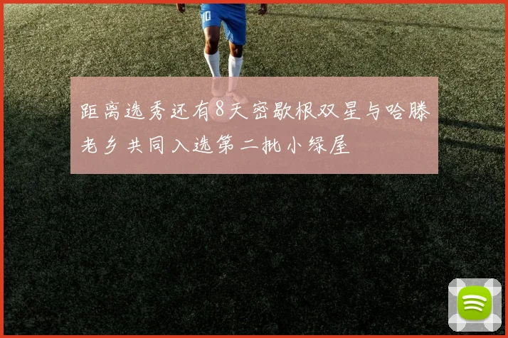 距离选秀还有8天密歇根双星与哈滕老乡共同入选第二批小绿屋
