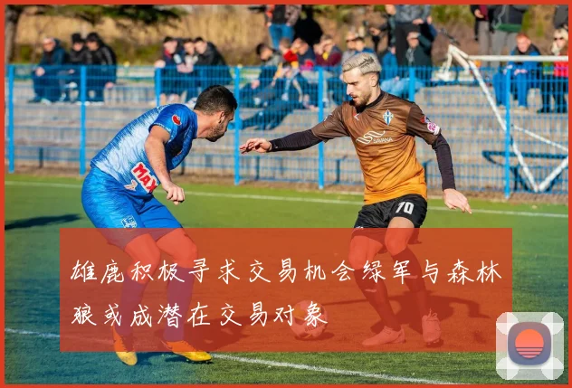 雄鹿积极寻求交易机会绿军与森林狼或成潜在交易对象